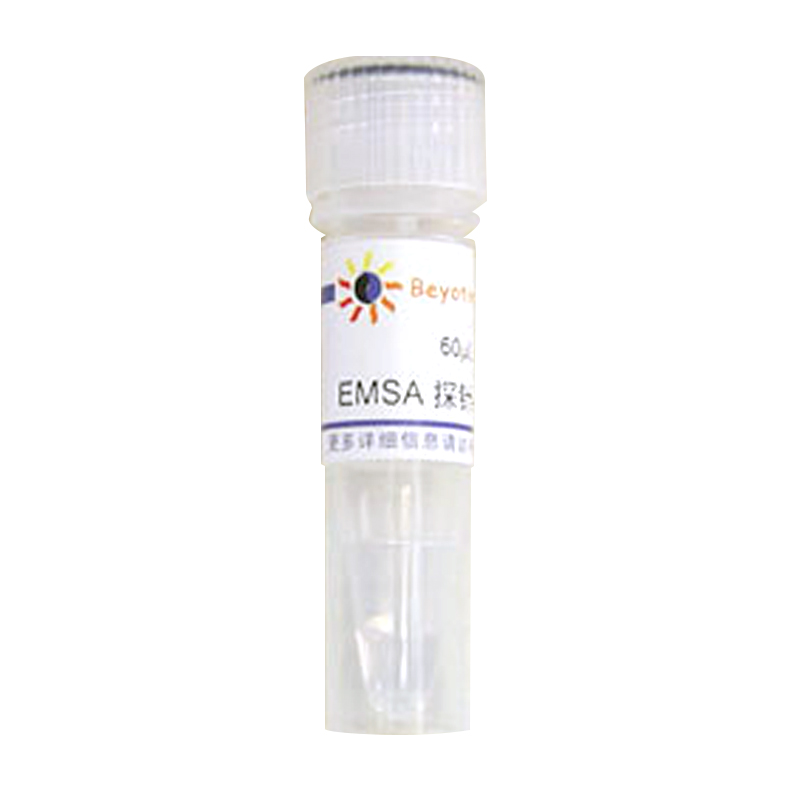 EMSA探针－OCT-1 (1.75μM)(GS061)