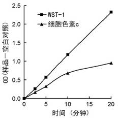 超氧化物检测试剂盒(S0060)