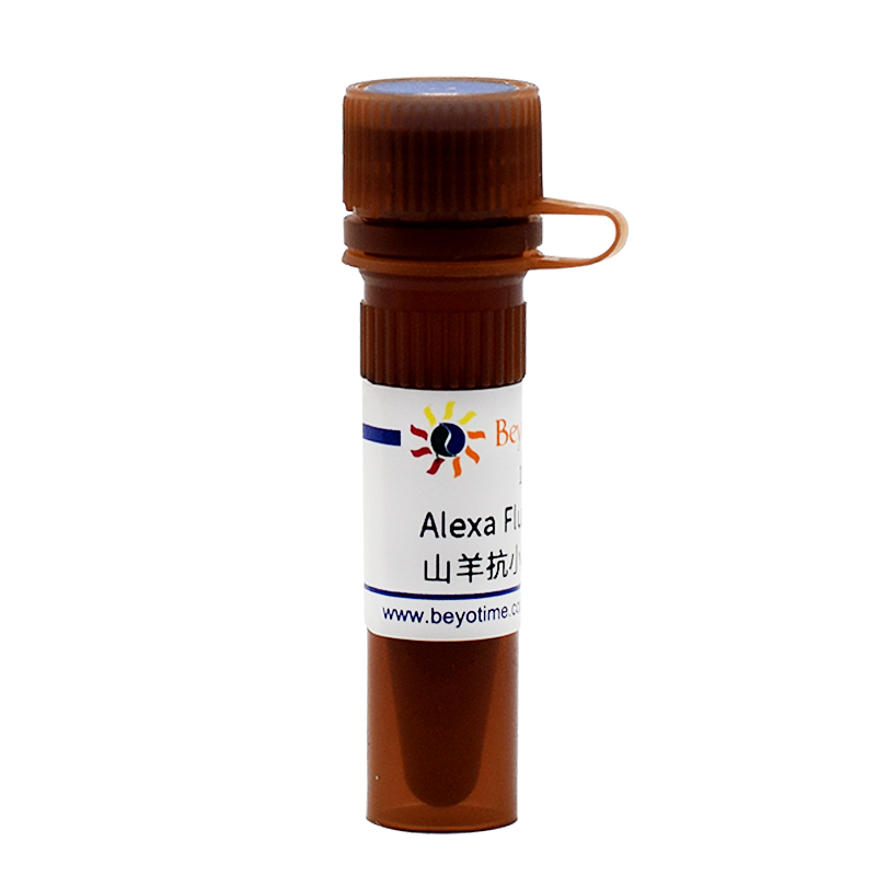 Alexa Fluor 488标记山羊抗小鼠IgG(H+L)(A0428)