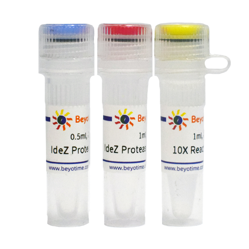 IdeZ Protease (IgG-specific)(免疫球蛋白特异性IdeZ蛋白酶)(P2526M)