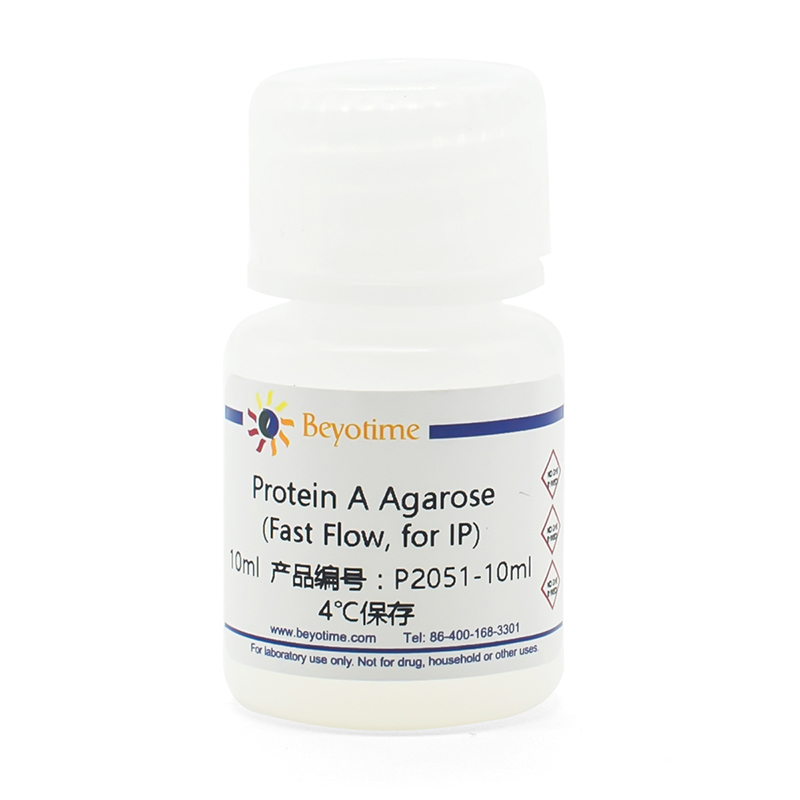 Protein A Agarose (Fast Flow, 免疫沉淀用)(P2051-10ml)