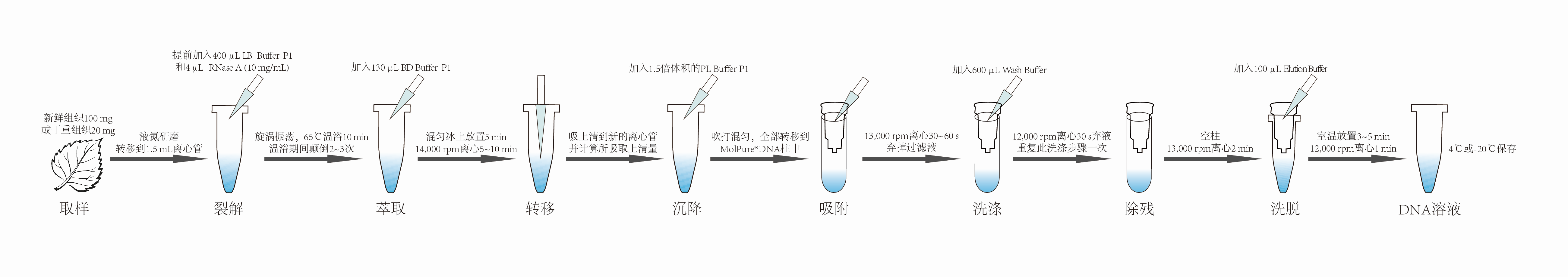 植物DNA提取试剂盒|MolPure® Plant DNA Kit