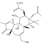 PMA(TPA)佛波肉荳蔻醋酸|Phorbol 12-myristate 13-acetate|CAS 16561-29-8