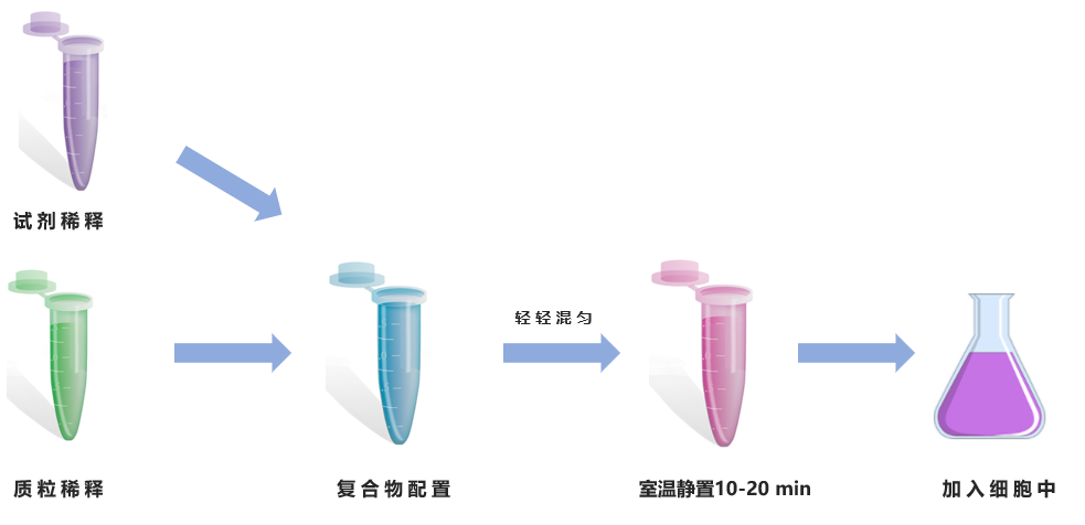 Hieff Trans® PEI转染试剂(PEI Transfection Reagent) GMP级