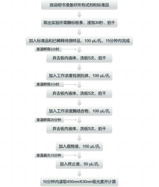 Mouse IL-10 ELISA Kit 小鼠白介素10 ELISA检测试剂盒