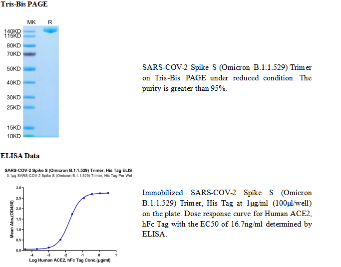 重组SARS-COV-2刺突S(B.1.1.529/Omicron)三聚体(His标签)