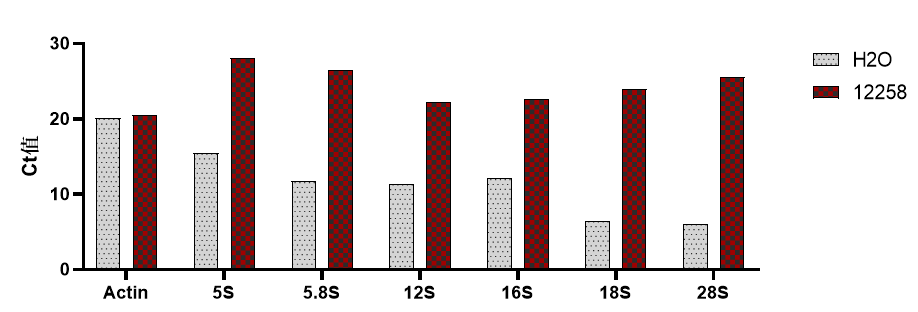 人核糖体RNA快速去除试剂盒(100-1000ng)|One-Step rRNA Removal Kit