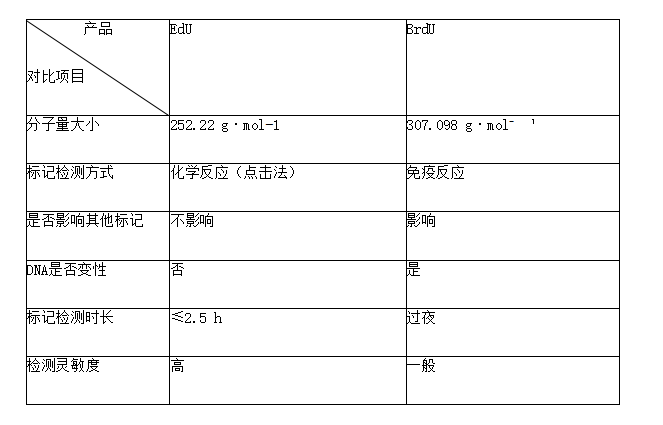 Yefluor 594 Edu细胞成像试剂盒(红色荧光)|Yefluor 594 Edu Imaging Kits